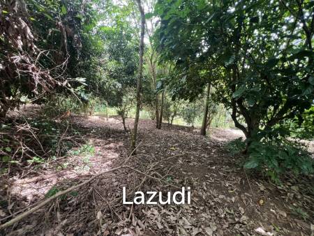 4 Rai of Land for sale on a hill near Huai Pla Kang Temple.