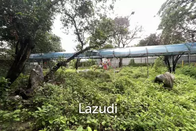 Land For Rent 400 Sq.m Ladprao 41