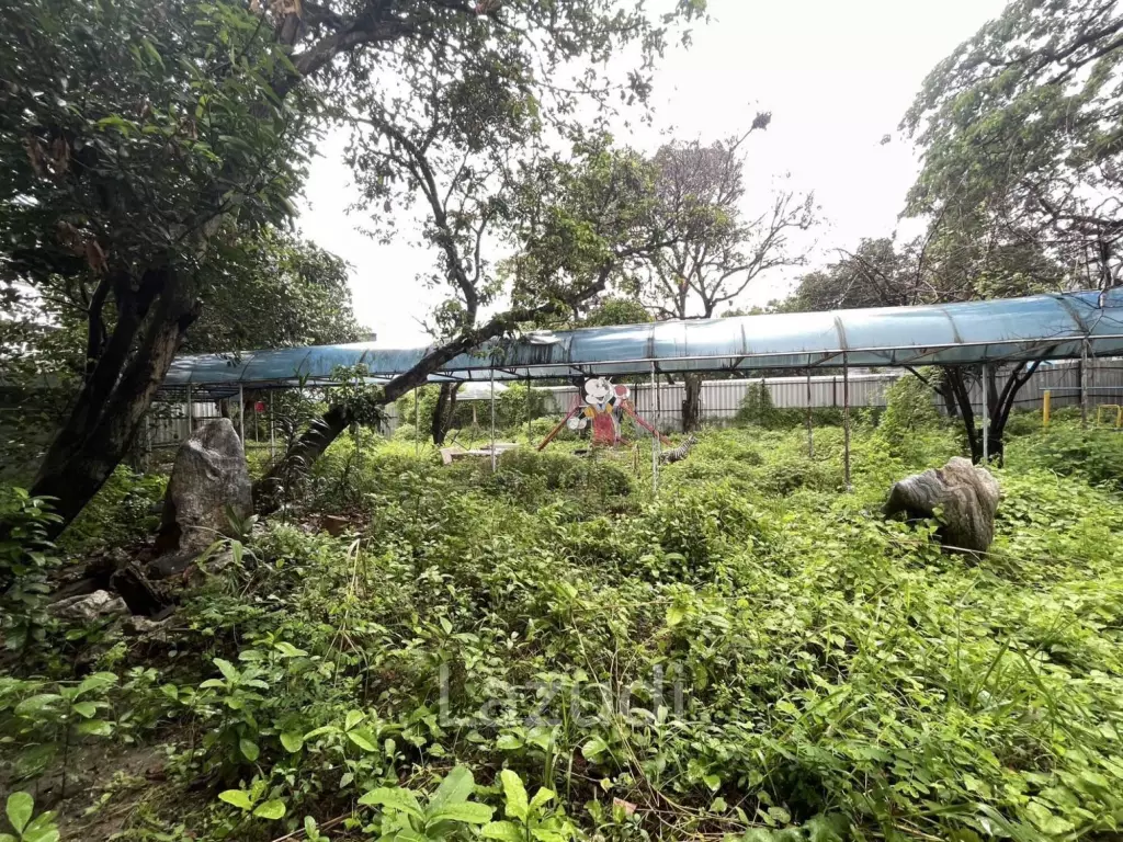 Land For Rent 400 Sq.m Ladprao 41