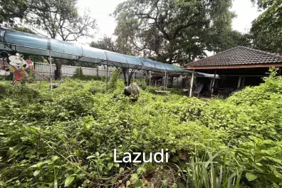 Land For Rent 400 Sq.m Ladprao 41