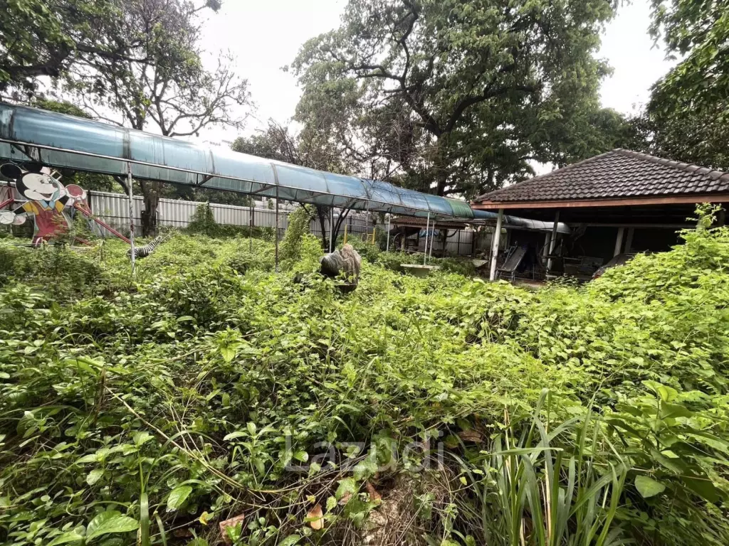 Land For Rent 400 Sq.m Ladprao 41