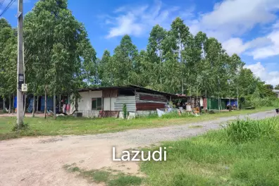 ที่ดินผืนใหญ่พัทยาหนองปรือเหมาะสำหรับการลงทุน
