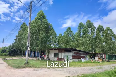 ที่ดินผืนใหญ่พัทยาหนองปรือเหมาะสำหรับการลงทุน