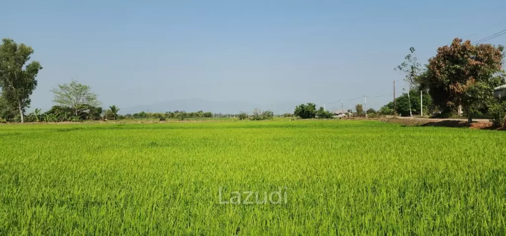 5 Rai Land For Sale Near Main road To Chiagn Saen