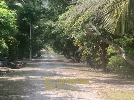 ชะอำ: รีสอร์ทสไตล์ไทย บ้านหลังใหญ่ 1 หลัง และบ้านหลังเล็ก 21 หลัง รวม 30 เตียง