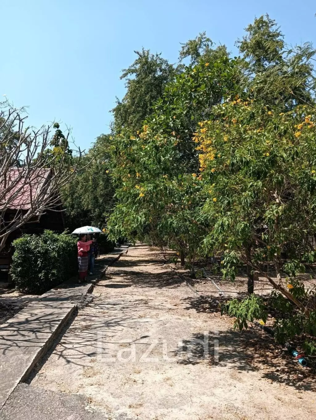 CHA AM: THAI STYLE RESORT, 1 big and 21 small houses, 30 Bed