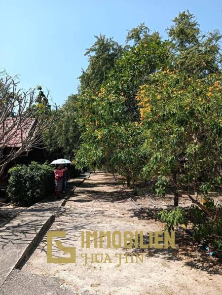 ชะอำ: รีสอร์ทสไตล์ไทย บ้านหลังใหญ่ 1 หลัง และบ้านหลังเล็ก 21 หลัง รวม 30 เตียง