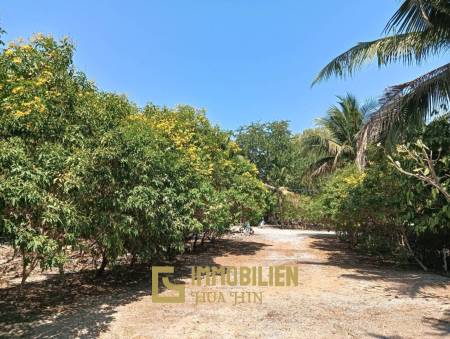 ชะอำ: รีสอร์ทสไตล์ไทย บ้านหลังใหญ่ 1 หลัง และบ้านหลังเล็ก 21 หลัง รวม 30 เตียง