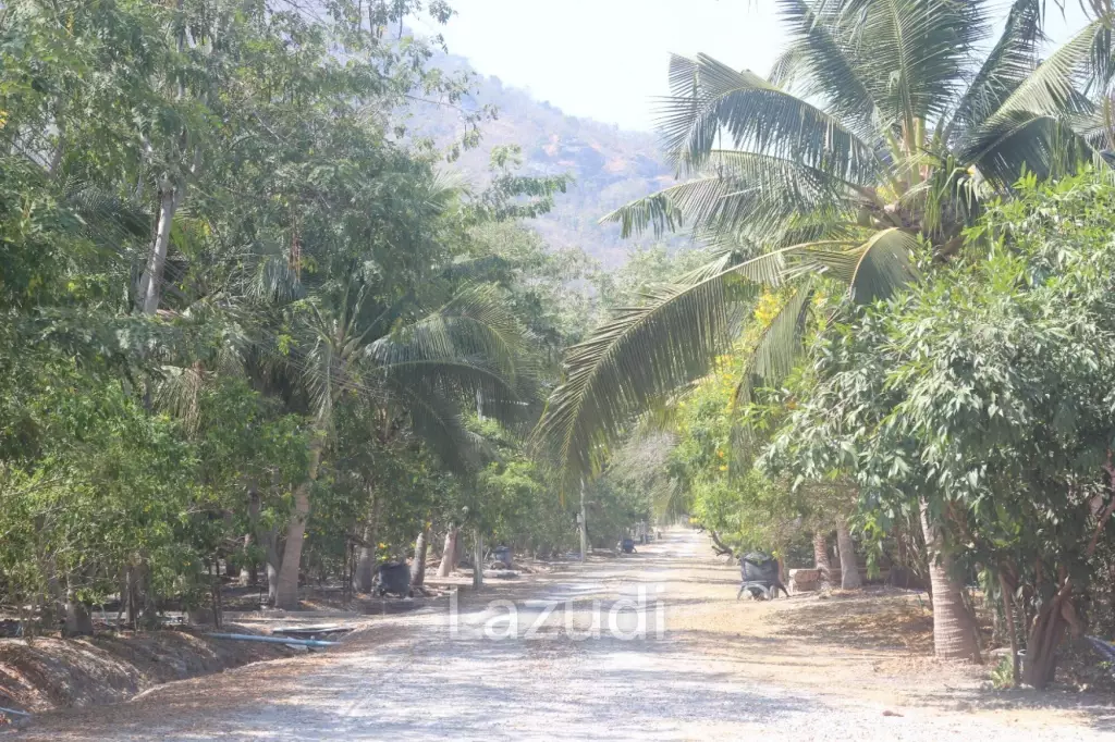 CHA AM: THAI STYLE RESORT, 1 big and 21 small houses, 30 Bed