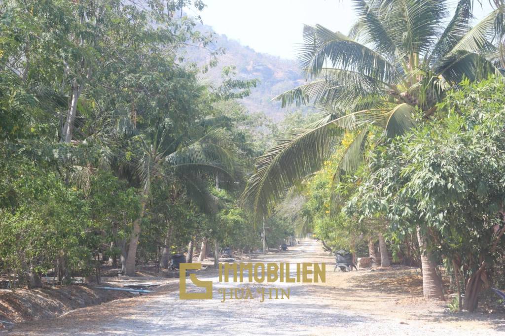 ชะอำ: รีสอร์ทสไตล์ไทย บ้านหลังใหญ่ 1 หลัง และบ้านหลังเล็ก 21 หลัง รวม 30 เตียง