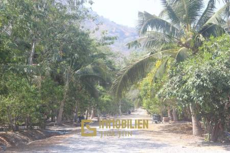 ชะอำ: รีสอร์ทสไตล์ไทย บ้านหลังใหญ่ 1 หลัง และบ้านหลังเล็ก 21 หลัง รวม 30 เตียง