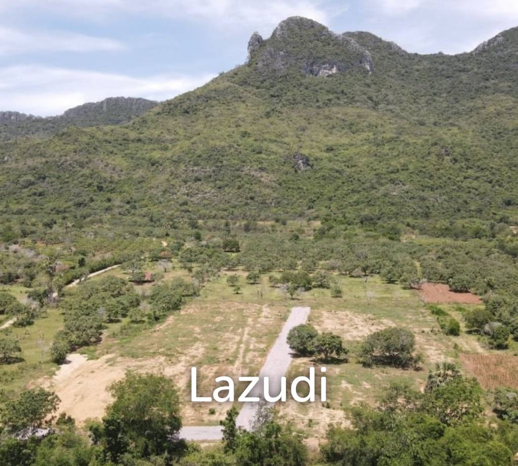 DOLPHIN BAY : 8 rai of prime land with great views