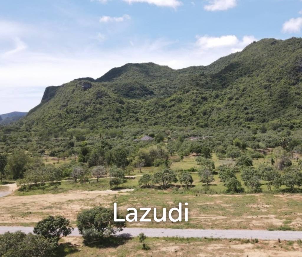 DOLPHIN BAY : 8 rai of prime land with great views