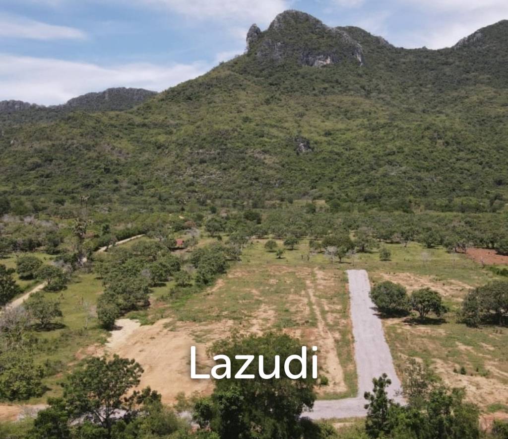 DOLPHIN BAY : 8 rai of prime land with great views