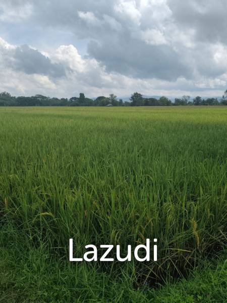 1 Rai 3 Ngan Land For Sale, Mountain views in San Kamphaeng.