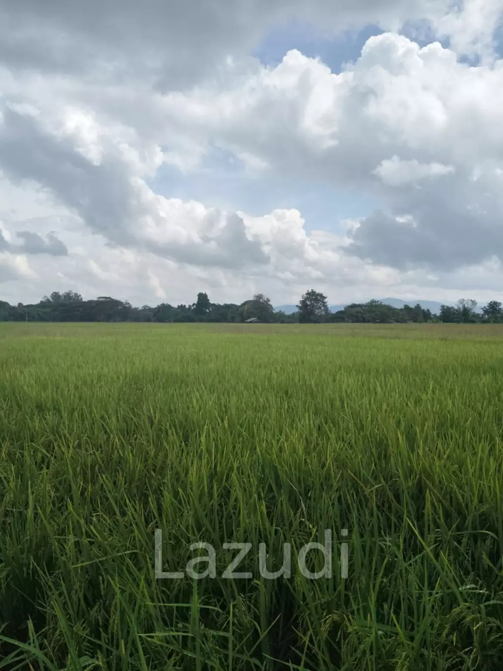 1 Rai 3 Ngan Land For Sale, Mountain views in San Kamphaeng.