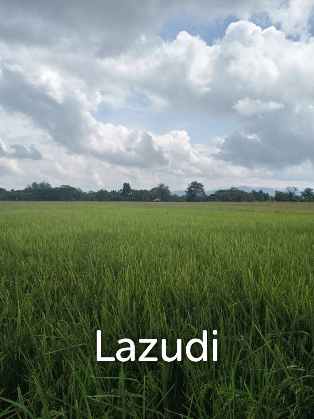 1 Rai 3 Ngan Land For Sale, Mountain views in San Kamphaeng.