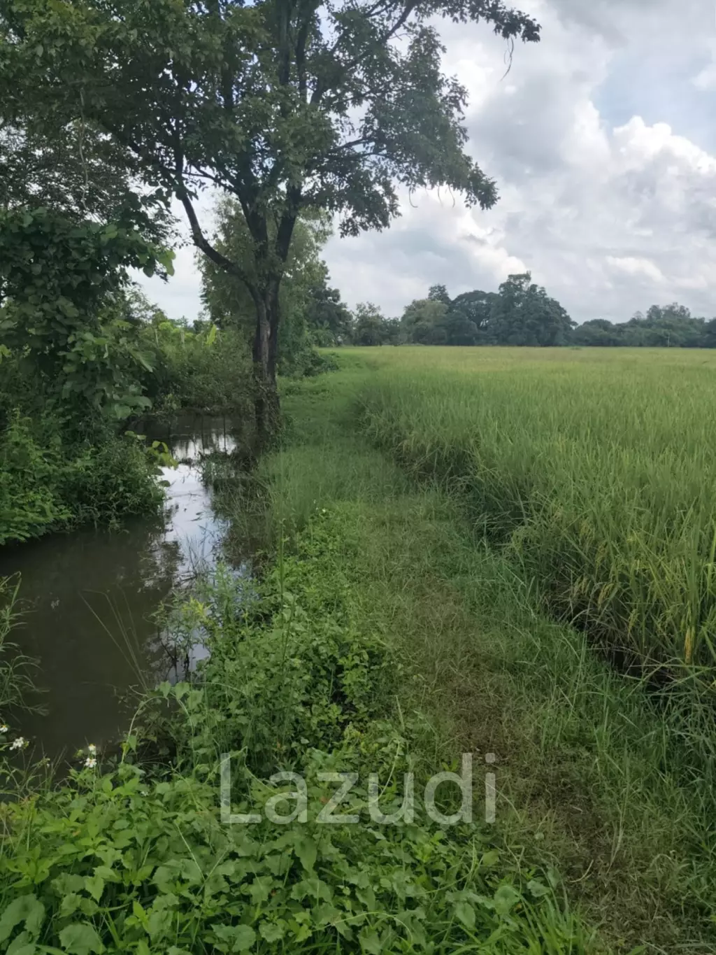 1 Rai 3 Ngan Land For Sale, Mountain views in San Kamphaeng.