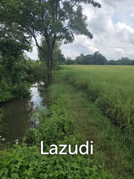 1 Rai 3 Ngan Land For Sale, Mountain views in San Kamphaeng.