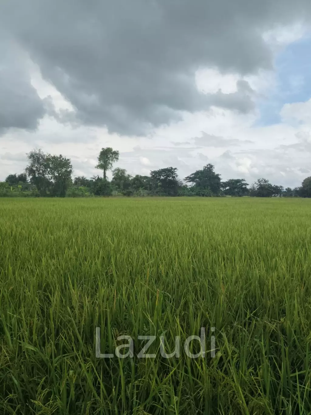 1 Rai 3 Ngan Land For Sale, Mountain views in San Kamphaeng.