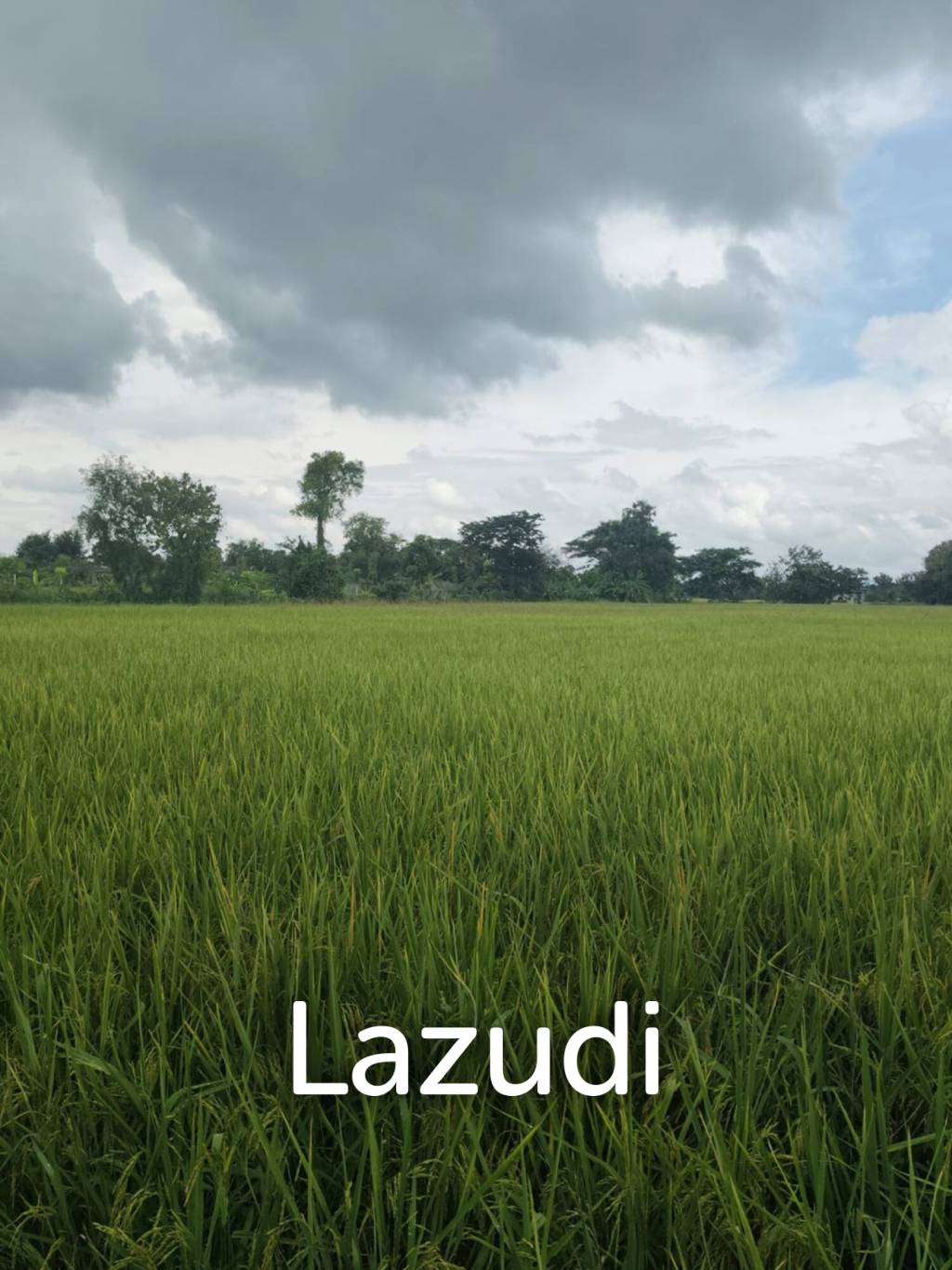 1 Rai 3 Ngan Land For Sale, Mountain views in San Kamphaeng.