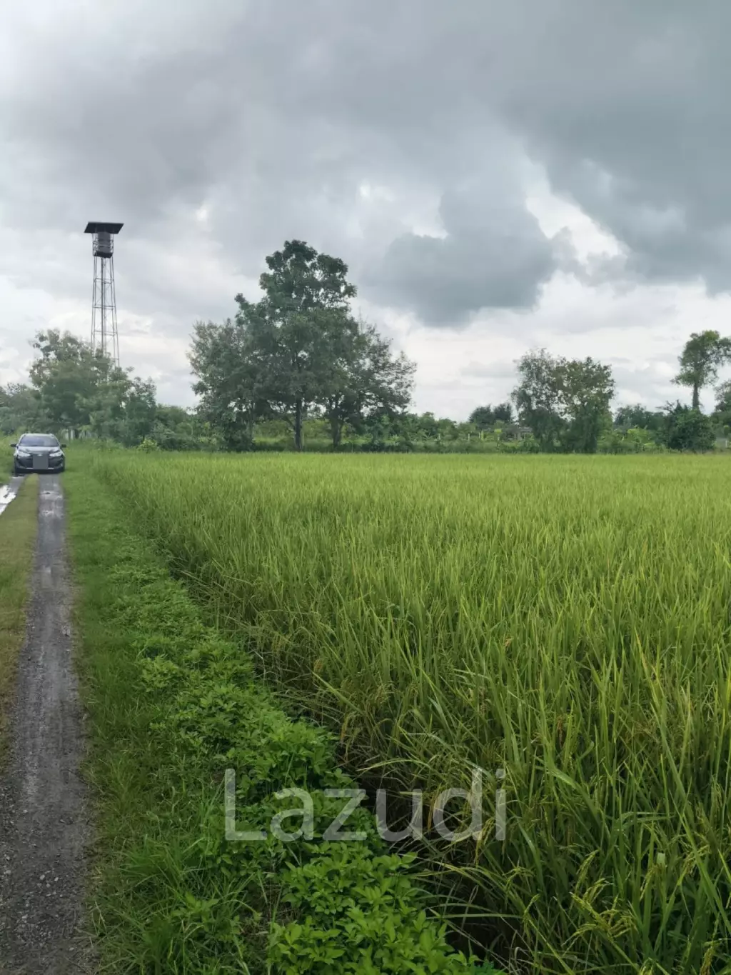 1 Rai 3 Ngan Land For Sale, Mountain views in San Kamphaeng.