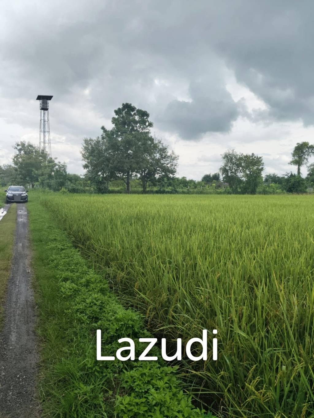 1 Rai 3 Ngan Land For Sale, Mountain views in San Kamphaeng.