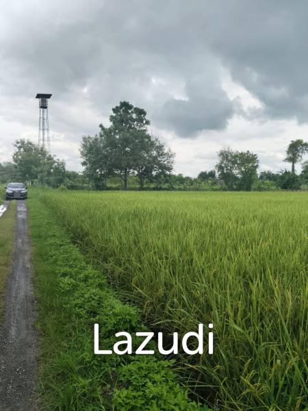 1 Rai 3 Ngan Land For Sale, Mountain views in San Kamphaeng.