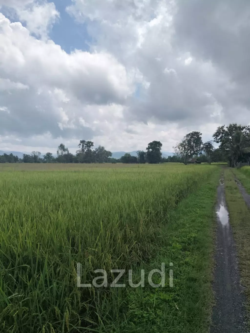 1 Rai 3 Ngan Land For Sale, Mountain views in San Kamphaeng.