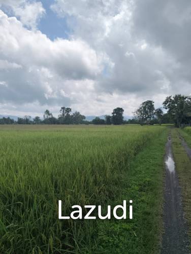 1 Rai 3 Ngan Land For Sale, Mountain views in San Kamphaeng.