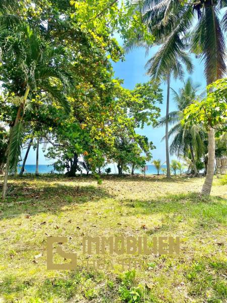 Absolute Strandlage / 2000 qm / Roter Chanot