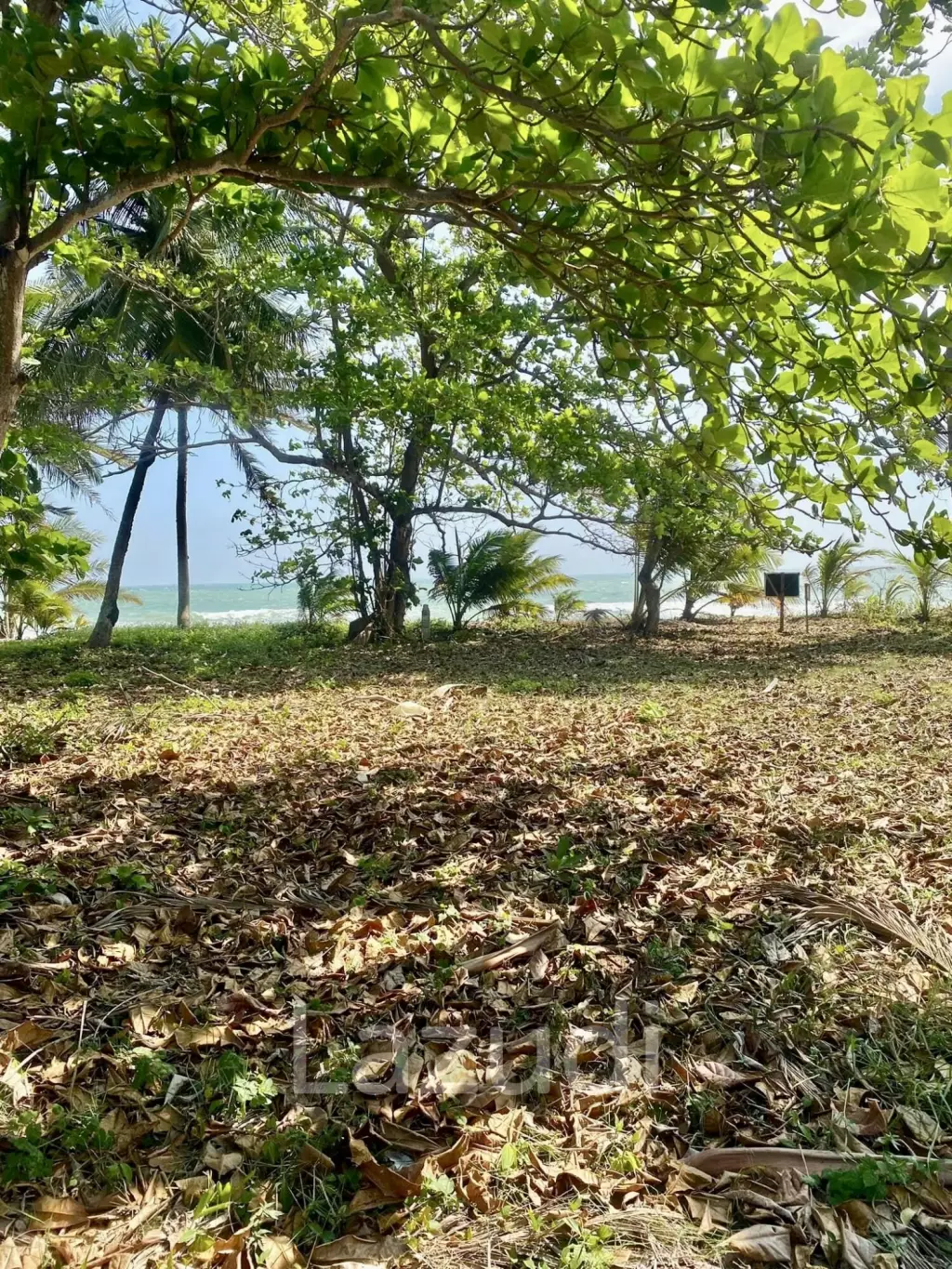 2094 SQM Absolute Beachfront Land for Sale, Prachuap Khiri Khan