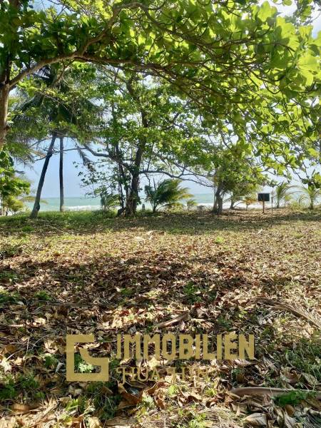 Absolute Strandlage / 2000 qm / Roter Chanot