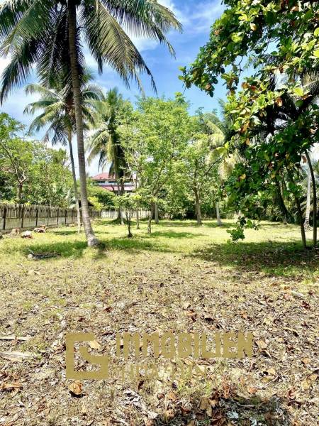 Absolute Strandlage / 2000 qm / Roter Chanot