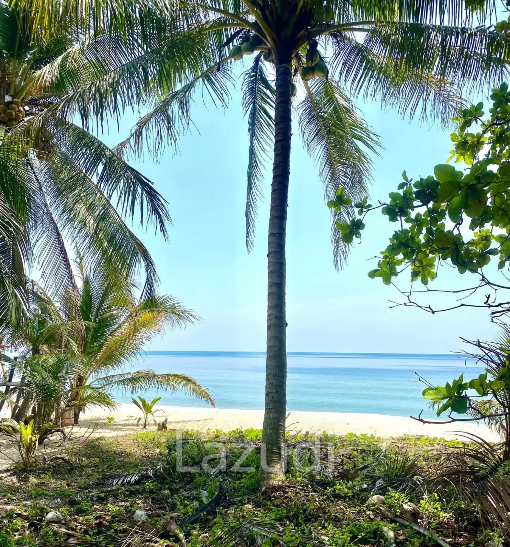 2094 SQM Absolute Beachfront Land for Sale, Prachuap Khiri Khan