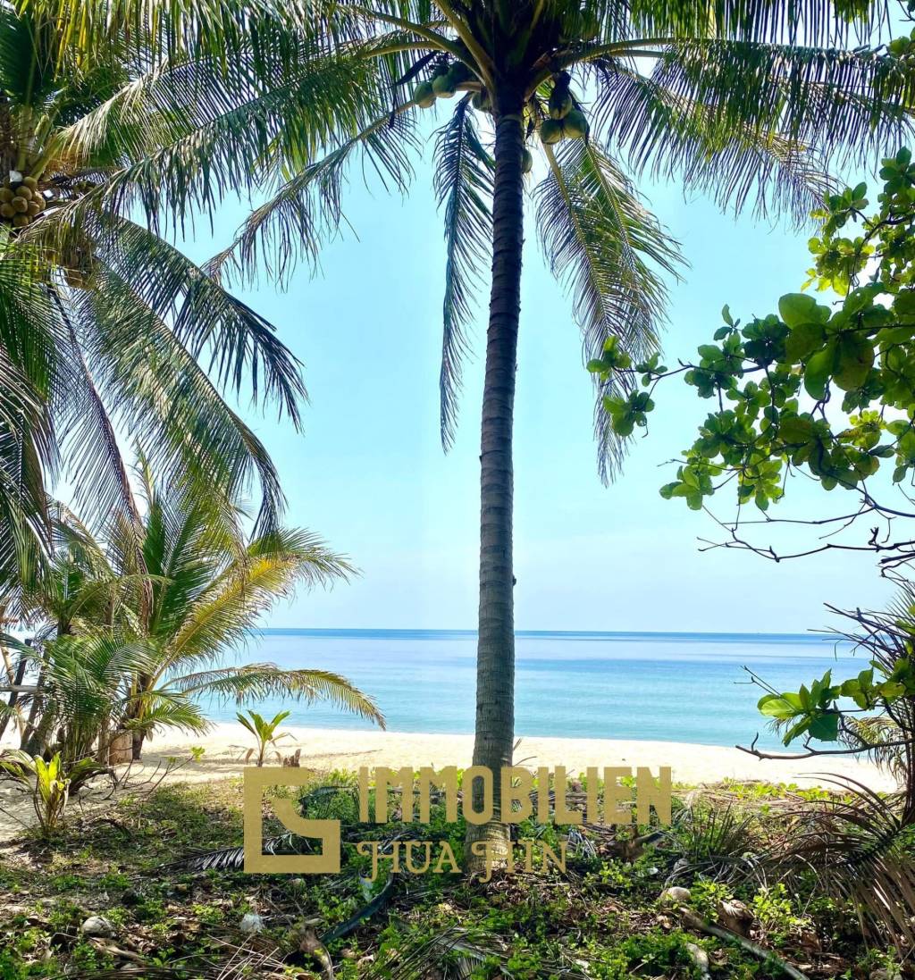 Absolute Strandlage / 2000 qm / Roter Chanot