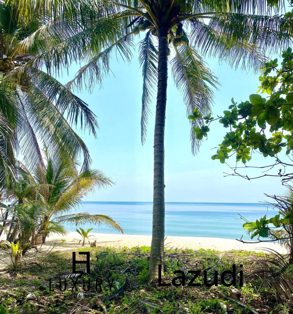 2094 SQM Absolute Beachfront Land for Sale, Prachuap Khiri Khan