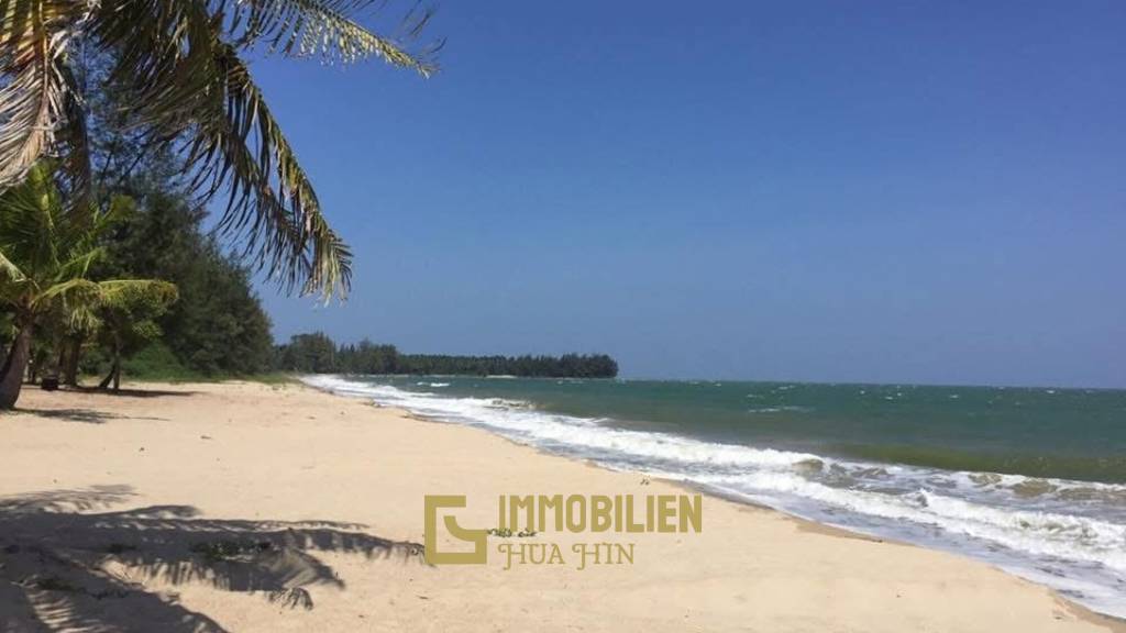 Absolute Strandlage / 2000 qm / Roter Chanot