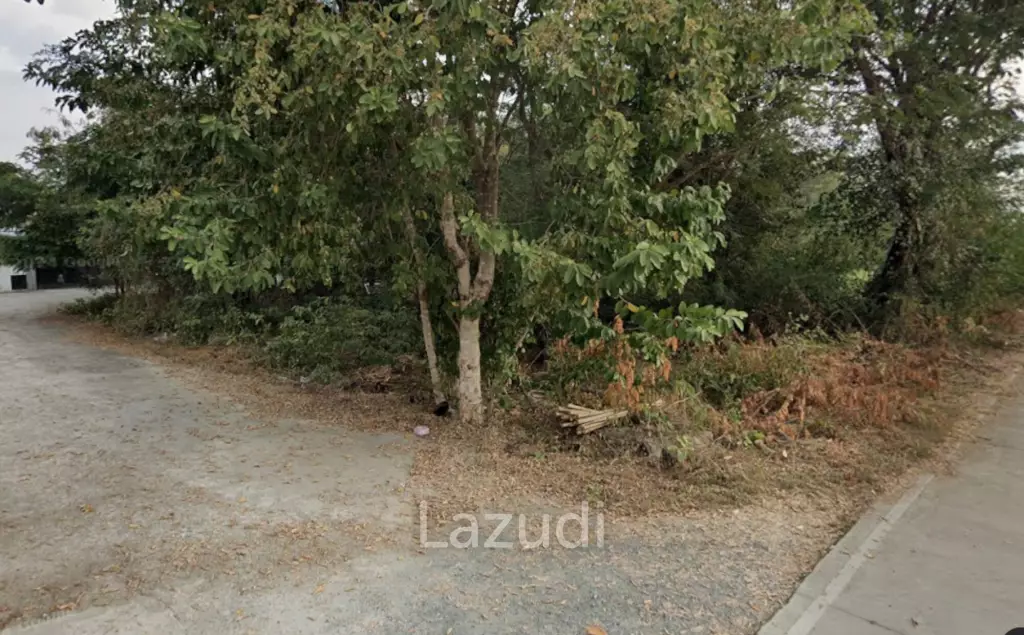 3 Ngan Land For Sale Corner Plot in Doi Saket District.