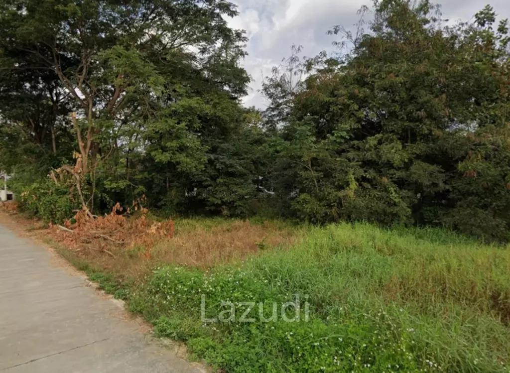 3 Ngan Land For Sale Corner Plot in Doi Saket District.