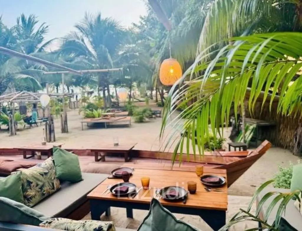 Restaurant  Bar – A Landmark in Koh Phangan