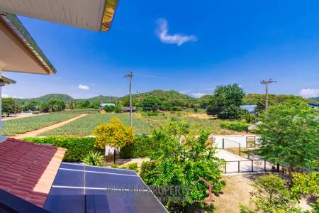 PERFECT HOME AND PET HOTEL : BUSINESS WITH MOUNTAIN VIEWS