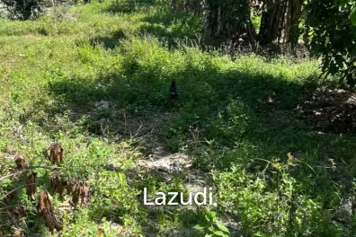 Land for Sale in MaduaWan – Koh Phangan