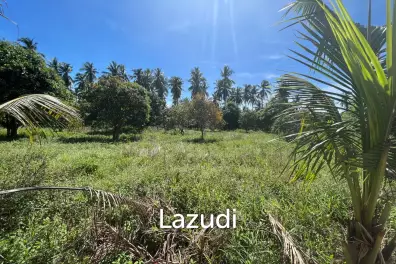 Land for Sale in MaduaWan – Koh Phangan