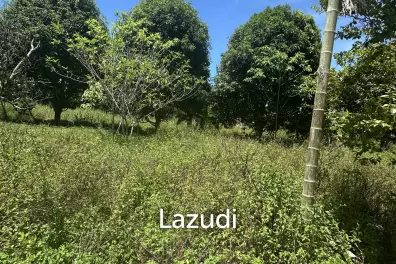 Land for Sale in MaduaWan – Koh Phangan