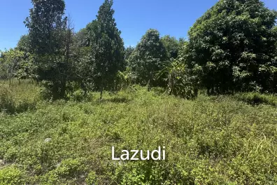 Land for Sale in MaduaWan – Koh Phangan
