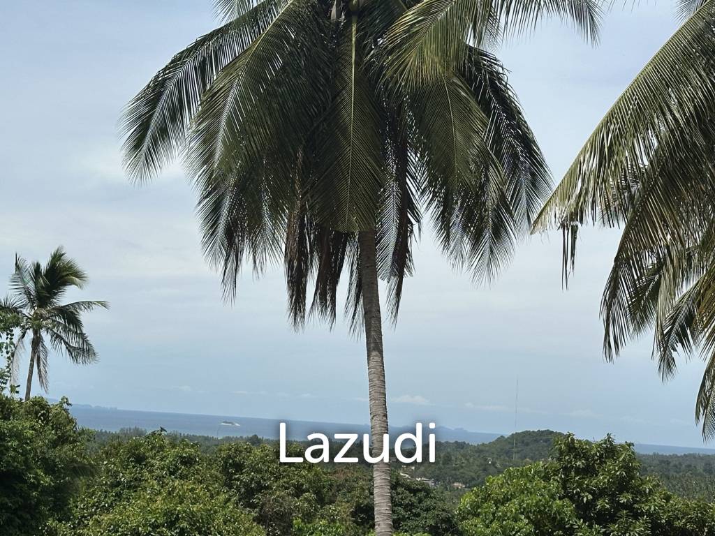Land with Sea View – Koh Phangan