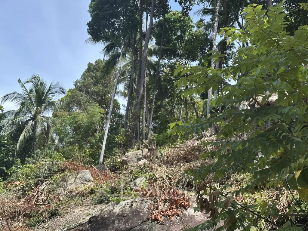 Land with Sea View – Koh Phangan