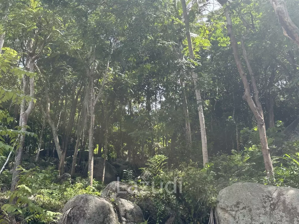 Land with Sea View – Koh Phangan