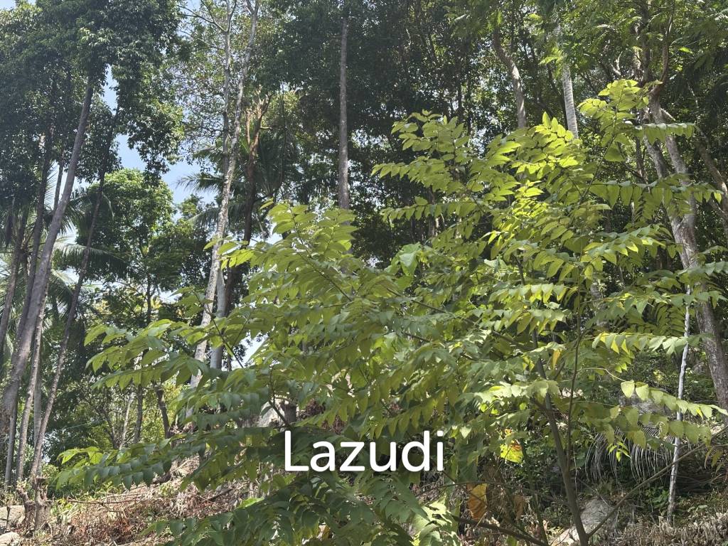 Land with Sea View – Koh Phangan